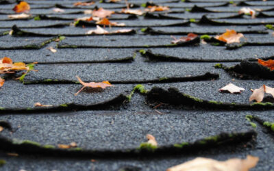 Common Roof Wear-And-Tear & Damage