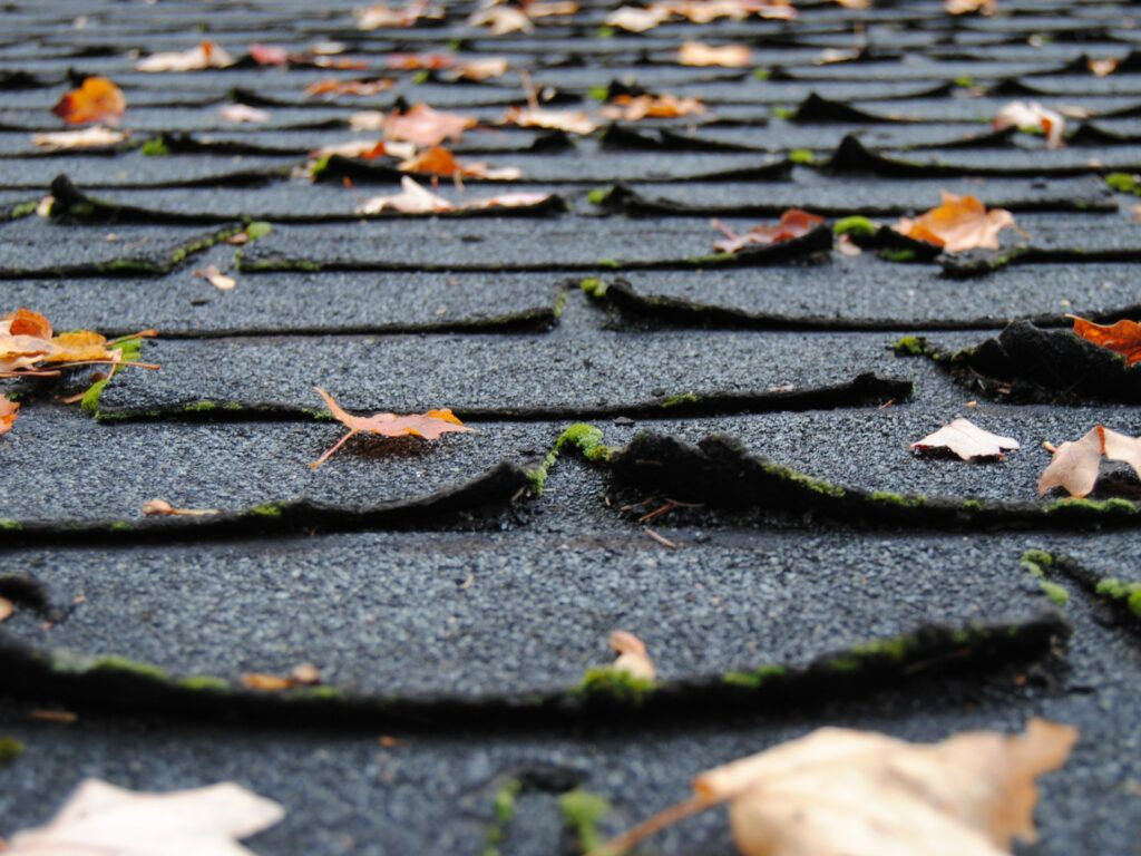 Common Roof Wear-And-Tear & Damage