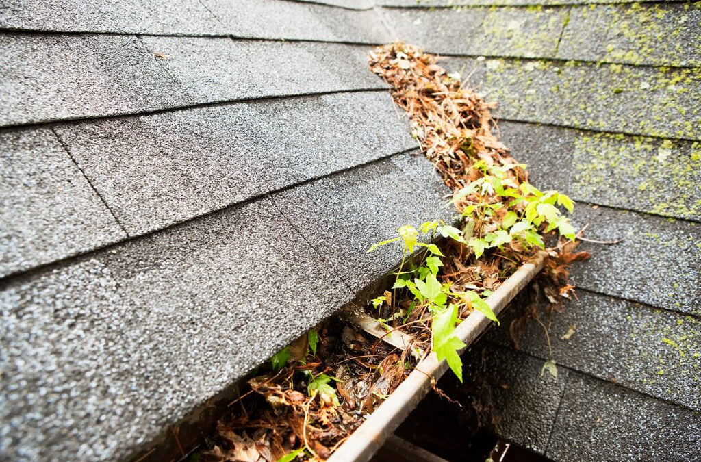 Keeping Your Roof In Good Shape