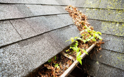 Keeping Your Roof In Good Shape