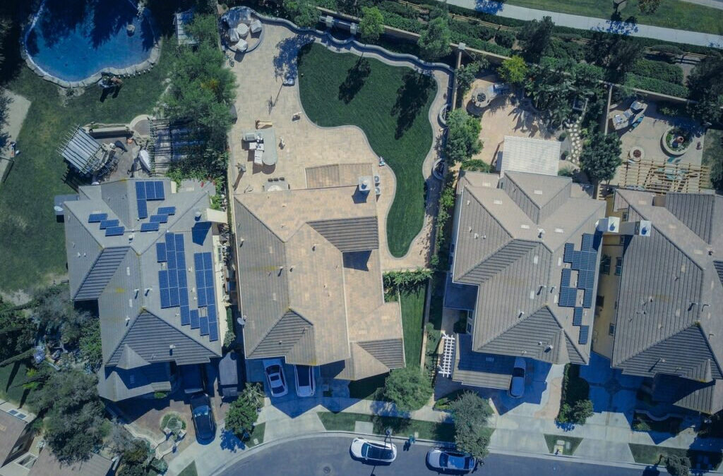 Why Are Plants Growing On My Roof?