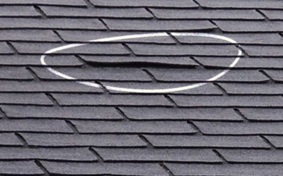 Does My Florida Panhandle Roof Need An Inspection?