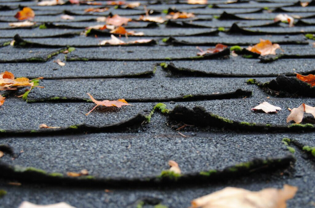 The Importance of Roof Maintenance Services