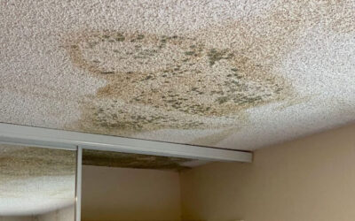 Is My Roof Leaking? Here Are Some Tips!