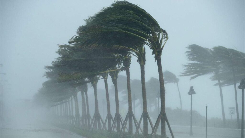 Should I Replace My Roof BEFORE Hurricane Season?