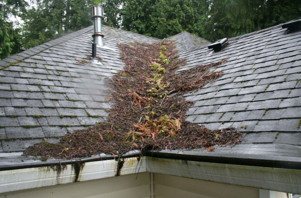 Should You Be Cleaning Your Gutters?