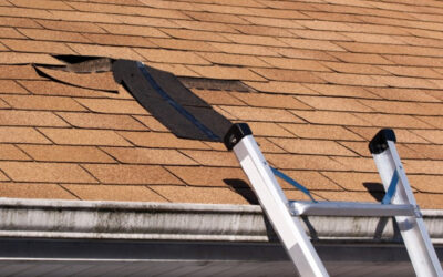 Tips For Reducing Roof Wear-And-Tear