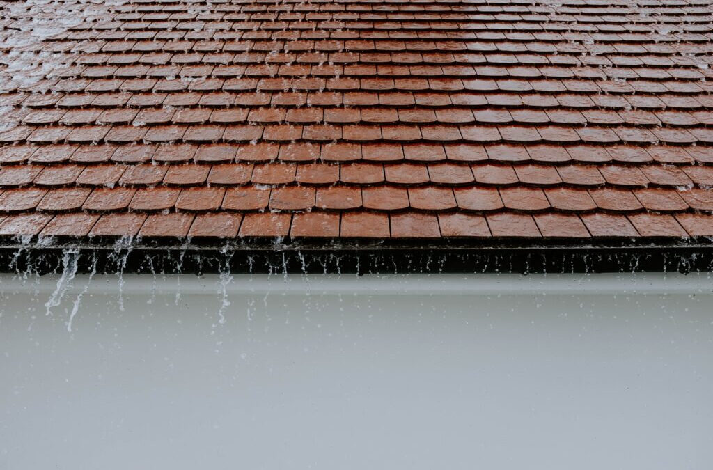 Why Is My Roof Leaking?
