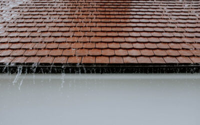 Why Is My Roof Leaking?