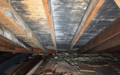 Should I Replace My Roof?
