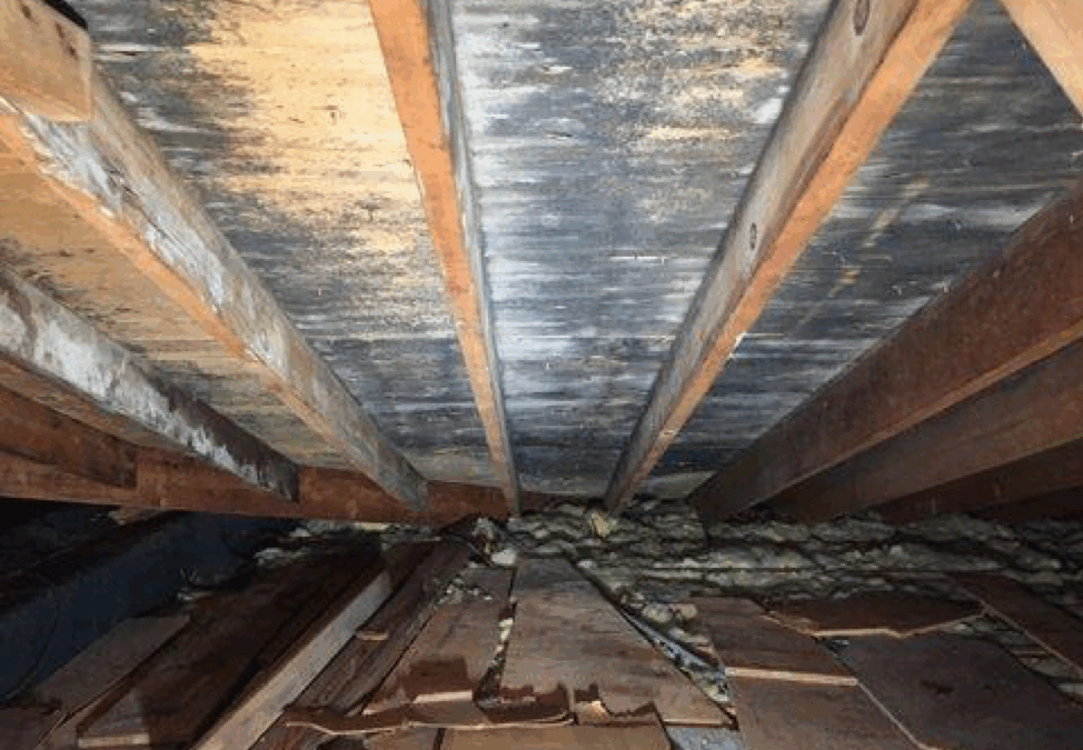 Should I Replace My Roof?