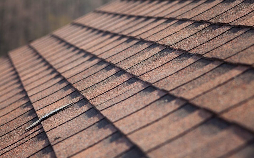 The Impact of Sunlight on Your Crestview Home’s Roof