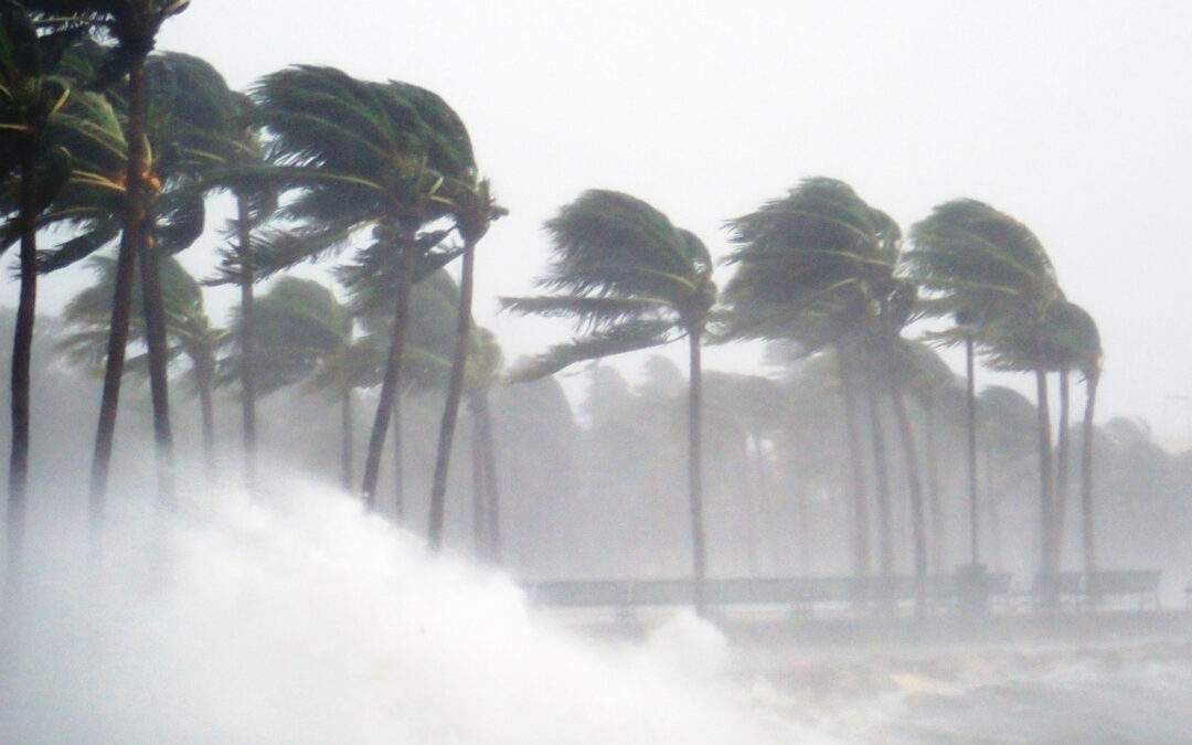 Signs Of Roof Damage Following A Hurricane