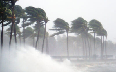 How Can High Winds Impact My Roof?